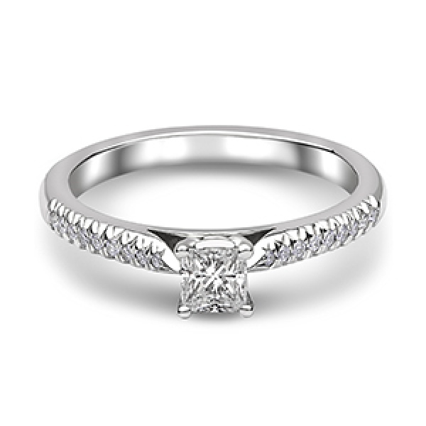 Engagement 24